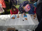 Rozsvícení vánočního stromu u MŠ